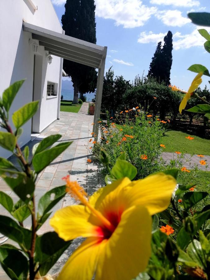 Villa Maria Epidaurus Exterior foto